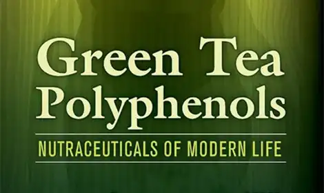 How Tea Polyphenols in Green Tea Extract Powder Support Holistic Wellness?